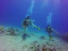 Hawaii Scuba divng 19