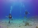 Hawaii Scuba divng 21