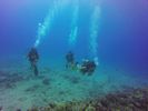 Hawaii Scuba divng 23