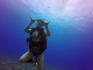 Hawaii Scuba divng 29