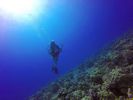 Hawaii Scuba divng 32