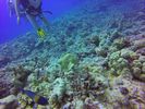 Hawaii Scuba divng 36