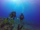 Hawaii Scuba divng 38