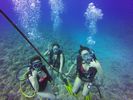 Hawaii Scuba divng 42