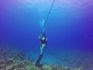 Hawaii Scuba divng 45