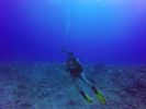 Hawaii Scuba divng 49