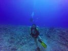 Hawaii Scuba divng 51