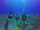 Hawaii Scuba divng 51