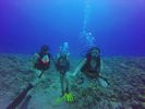 Hawaii Scuba divng 52