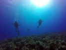 Hawaii Scuba divng 53