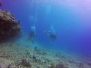 Hawaii Scuba divng 56