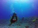 Hawaii Scuba divng 06