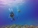 Hawaii Scuba divng 72