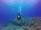 Hawaii Scuba divng 75