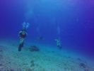 Hawaii Scuba divng 81