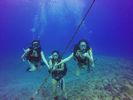 Hawaii Scuba divng 91