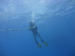 Hawaii Scuba divng 10