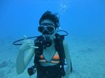 Hawaii Scuba divng 11