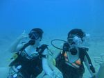 Hawaii Scuba divng 14