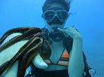 Hawaii Scuba divng 16
