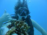 Hawaii Scuba divng 19