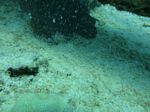 Hawaii Scuba divng 22