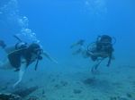 Hawaii Scuba divng 23