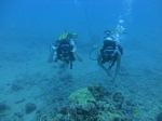 Hawaii Scuba divng 24