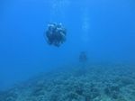 Hawaii Scuba divng 26