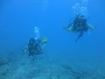 Hawaii Scuba divng 27