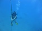 Hawaii Scuba divng 28