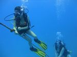 Hawaii Scuba divng 29