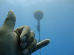 Hawaii Scuba divng 02