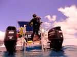 Hawaii Scuba divng 32