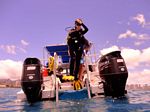Hawaii Scuba divng 33