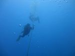 Hawaii Scuba divng 34