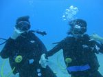 Hawaii Scuba divng 35