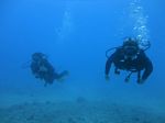 Hawaii Scuba divng 37