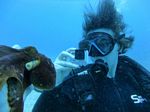 Hawaii Scuba divng 39