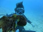 Hawaii Scuba divng 41