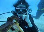 Hawaii Scuba divng 42