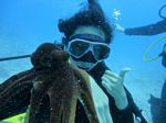 Hawaii Scuba divng 43