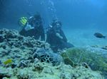 Hawaii Scuba divng 48