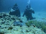 Hawaii Scuba divng 49