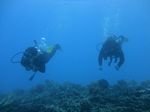Hawaii Scuba divng 53