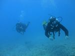 Hawaii Scuba divng 56