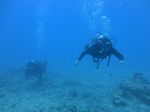 Hawaii Scuba divng 57
