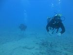 Hawaii Scuba divng 58