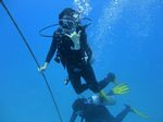 Hawaii Scuba divng 59