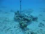 Hawaii Scuba divng 60